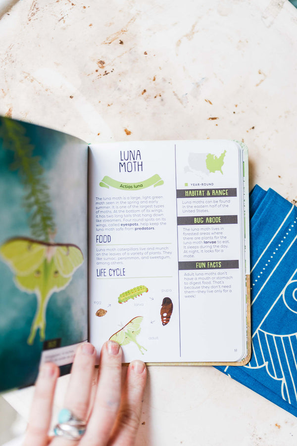 kid’s guide to backyard bugs | kids book