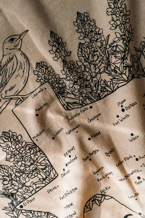 tea towel | state of texas
