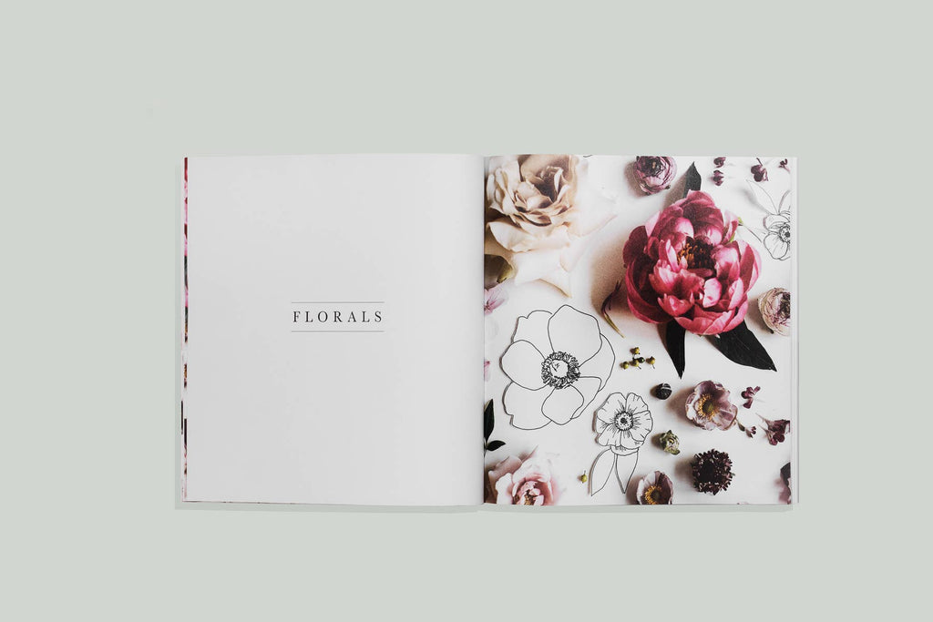 how to draw modern florals by alli koch | activity book