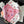 western cowgirl bandana | pink