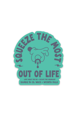 squeeze the most out of life teal | sticker