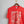 yesterday is gone | paprika comfort colors tee
