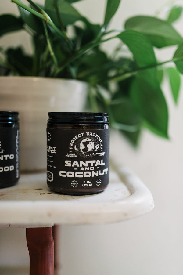 8 oz soy candle | santal & coconut