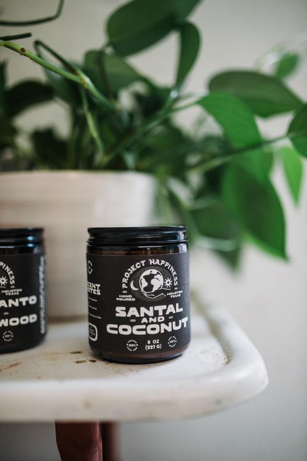 8 oz soy candle | santal & coconut