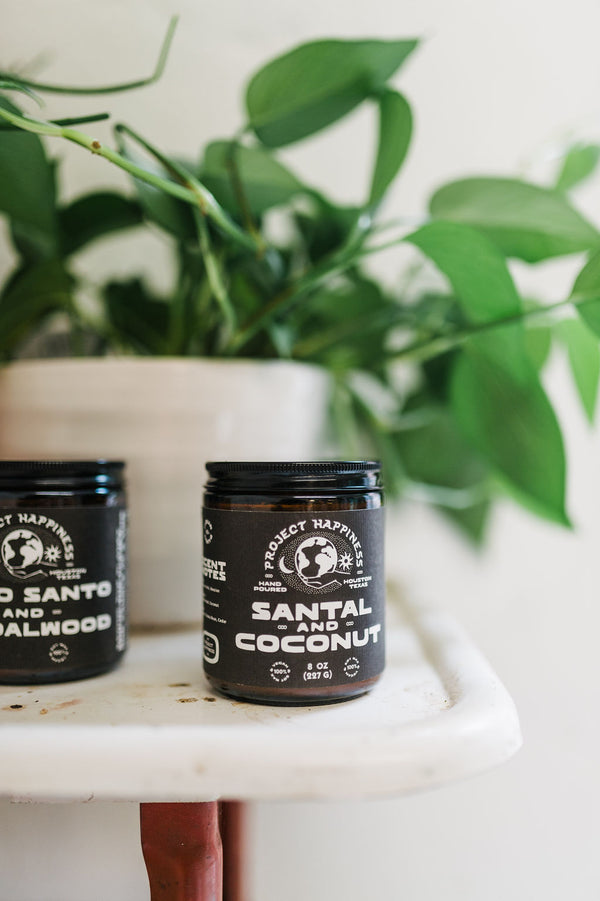 8 oz soy candle | santal & coconut