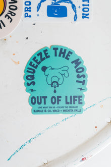 squeeze the most out of life teal | sticker