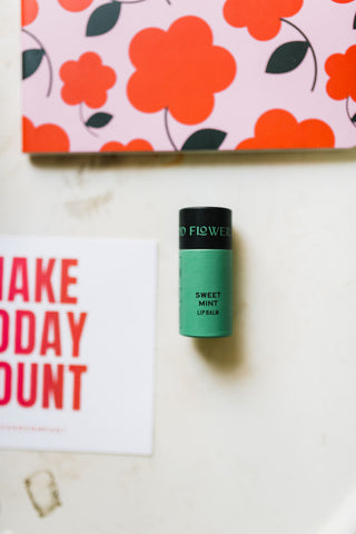 lip balm | sweet mint