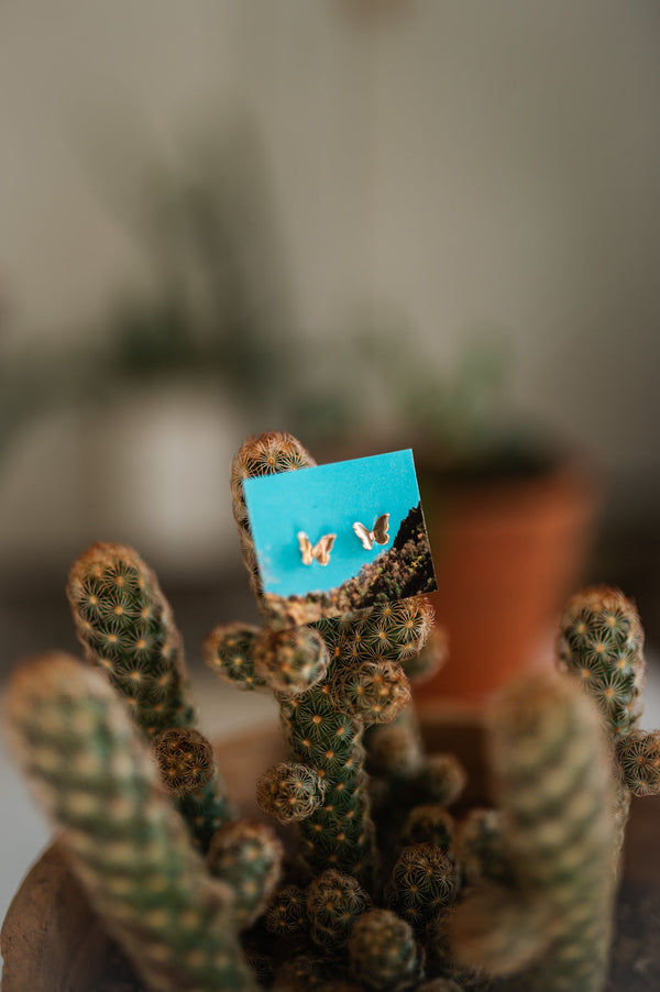 mini butterfly studs | 18k gold filled earrings