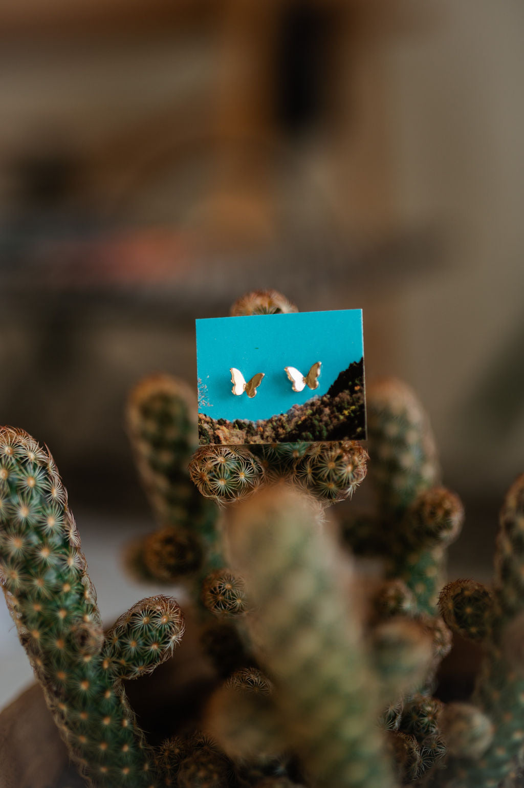 mini butterfly studs | 18k gold filled earrings