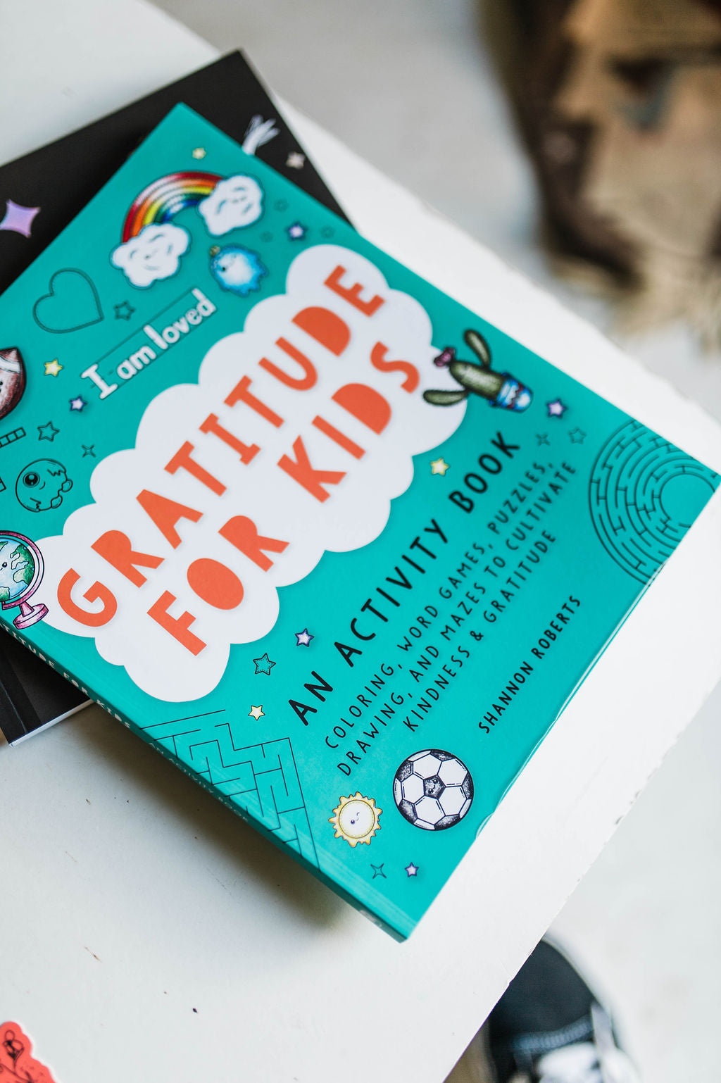 gratitude for kids by shannon roberts | activity book