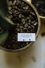 star dainty stud earrings | 18k gold filled earrings