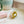 cellulose hair claw clip | lime