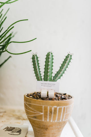 striped cuff | earrings