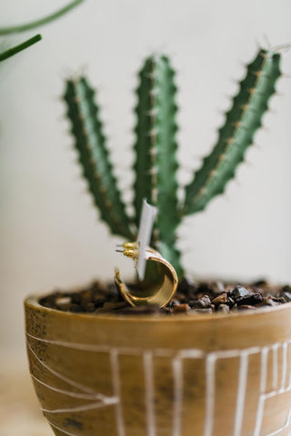 striped cuff | earrings