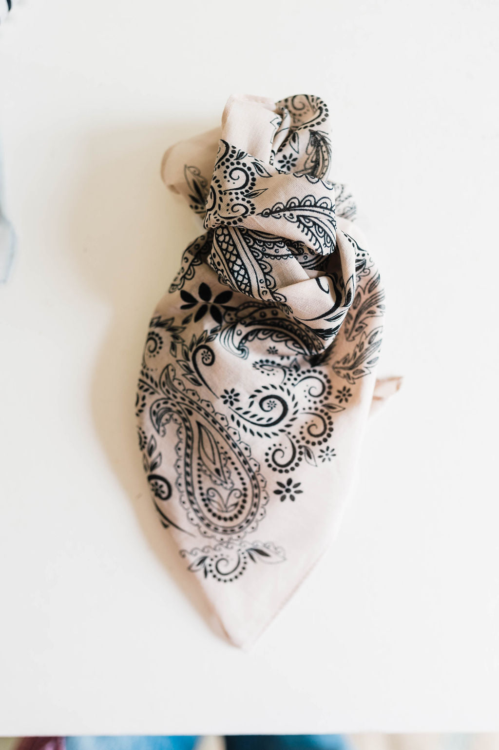floral paisley | bandana