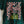 let yourself bloom | vintage forest crop