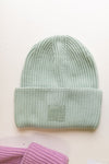 mad hatter ribbed beanie | mint