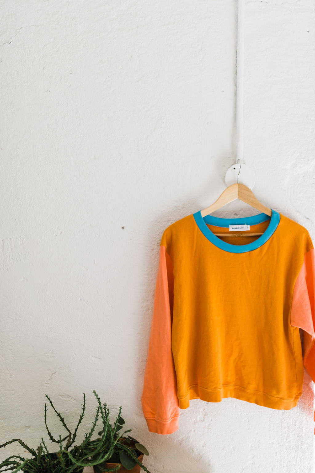 ramble boxy sweatshirt | molly