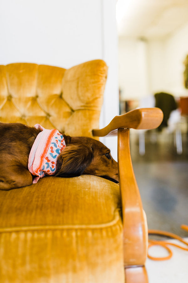 small pocket bandana | cherry
