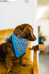 small pocket bandana | juliet