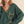 collared pullover | green + gold