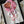western cowgirl bandana | pink