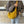 crossbody dumpling bag | mustard