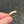 curved shell ring | 7 & 8