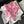 western cowgirl bandana | pink