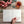 sun on the horizon | deconstructed journal