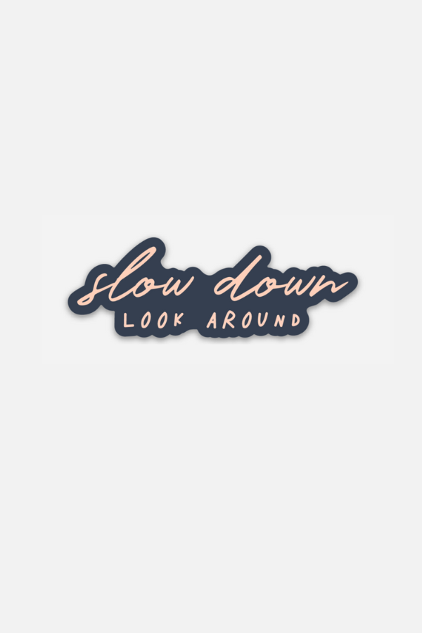 slow down, look around | sticker