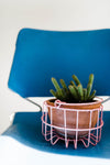 vintage egg basket | wire basket | 3 options