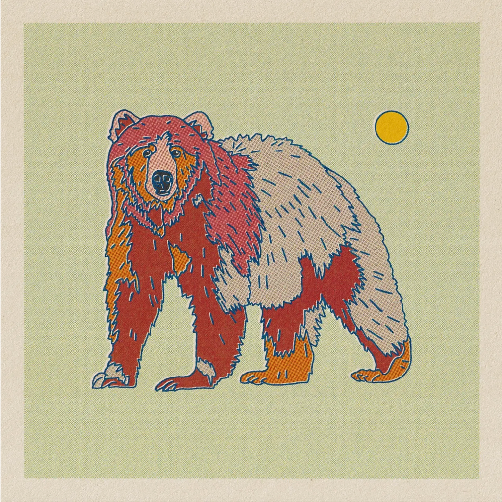 rainbow bear | 12x12 print
